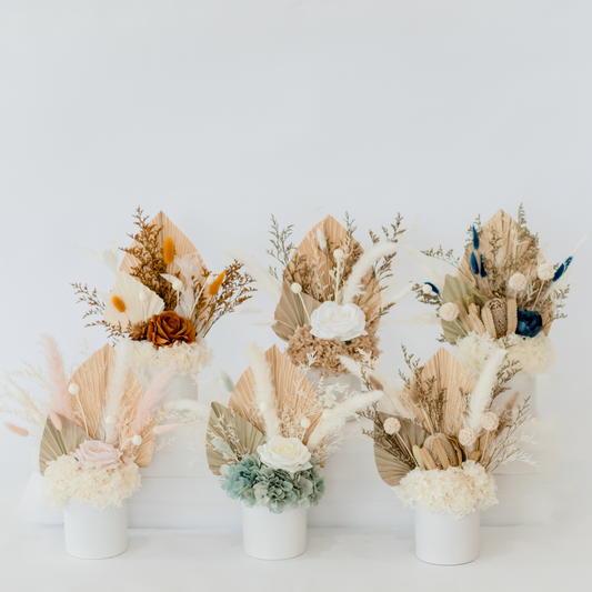 Boho Blooms Dried Flowers Hervey Bay
