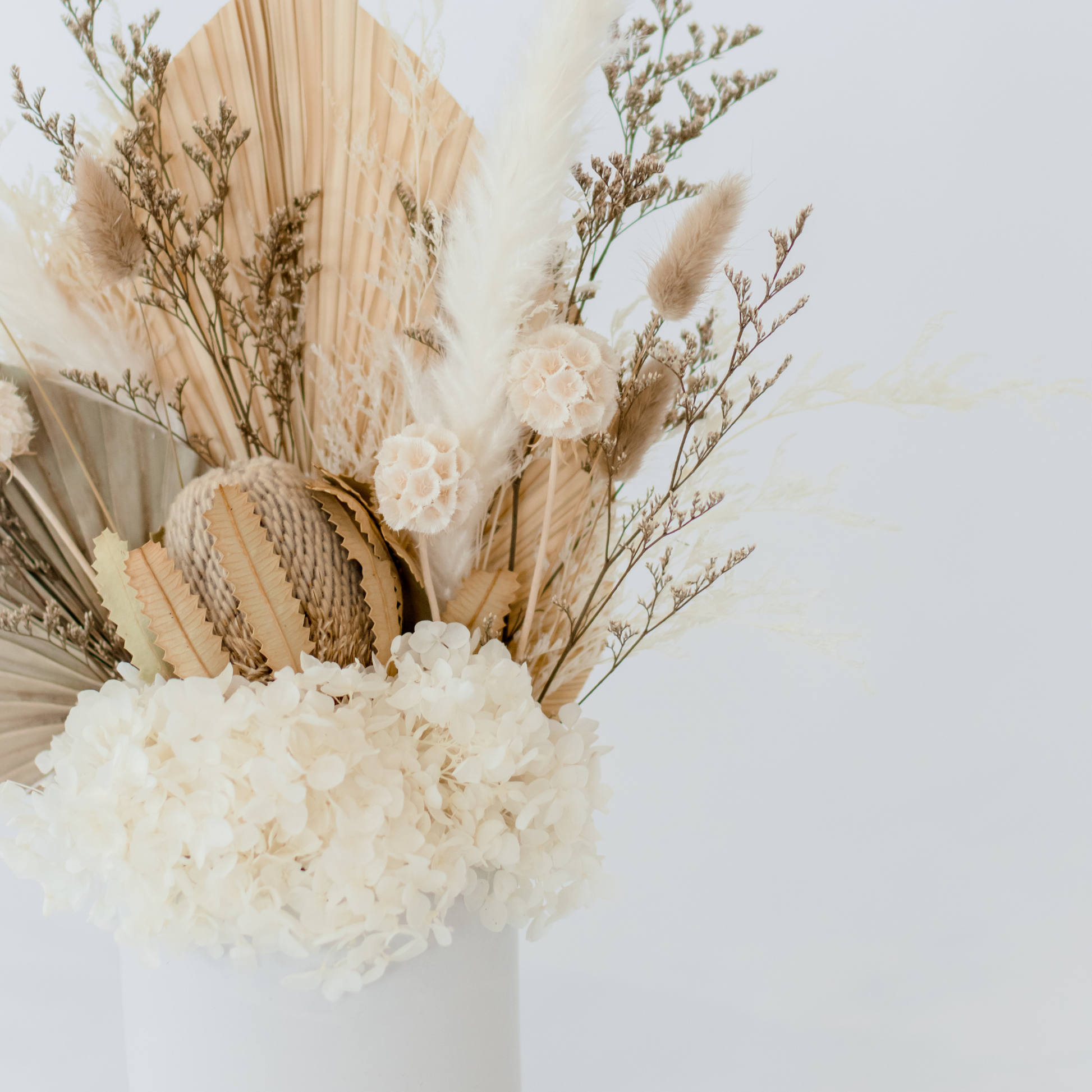 Boho Blooms Natural Dried Flowers Hervey Bay