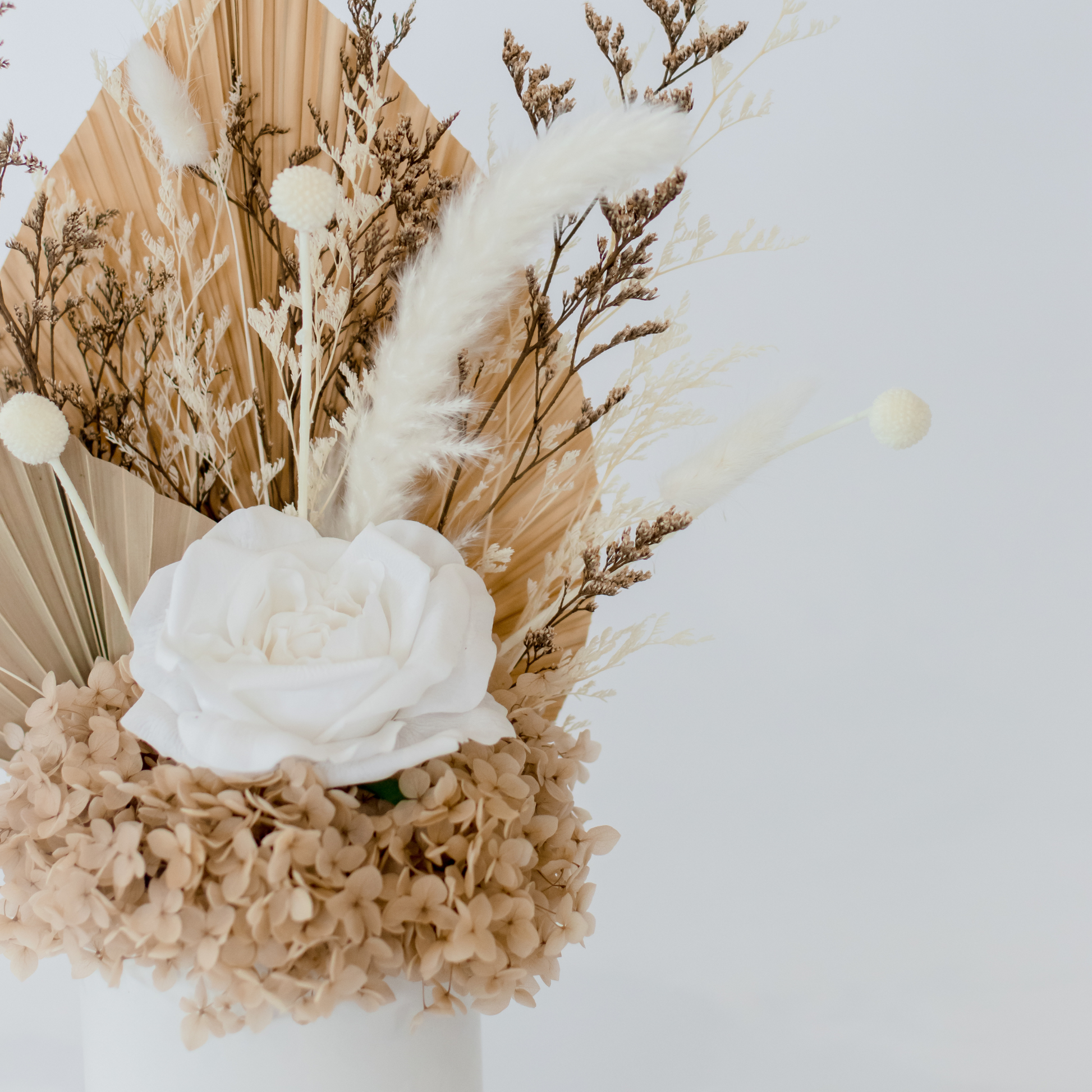 Boho Blooms Nude Dried Flowers Hervey Bay