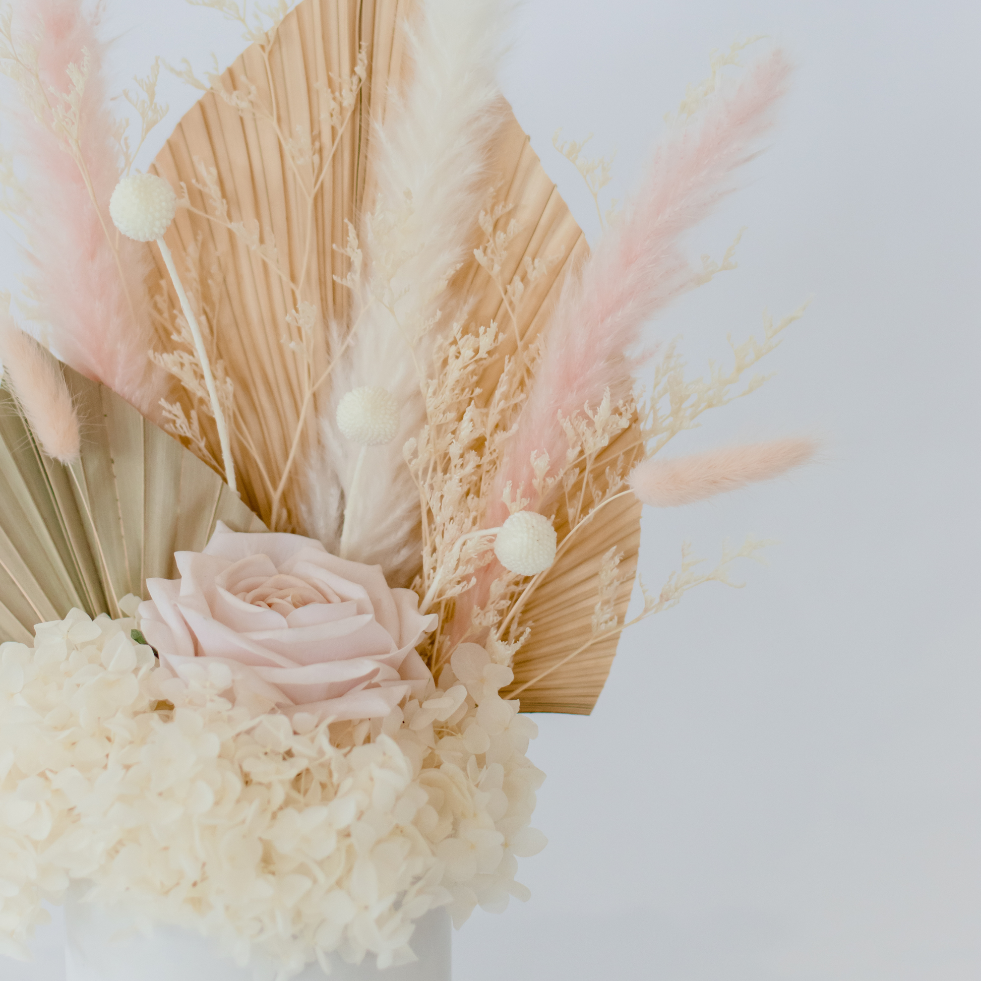 Boho Blooms Pink Dried Flowers Hervey Bay