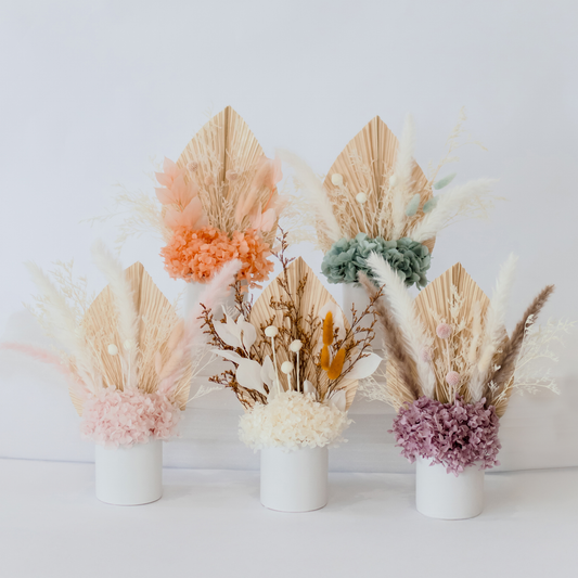 Dried Flower Shop Hervey Bay