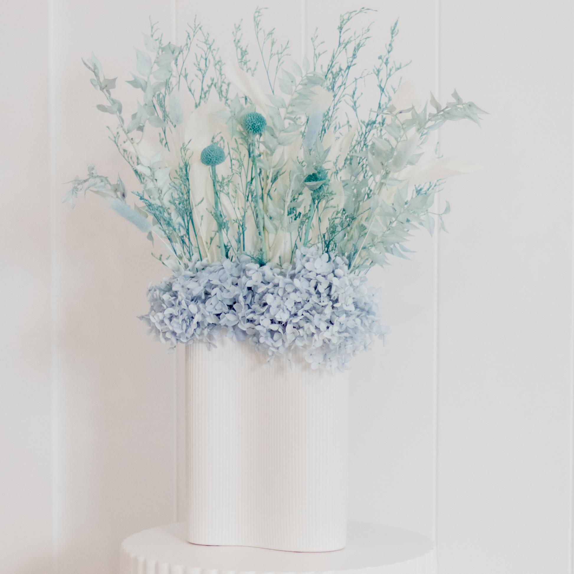 Large Dried Flower Blue Hervey Bay