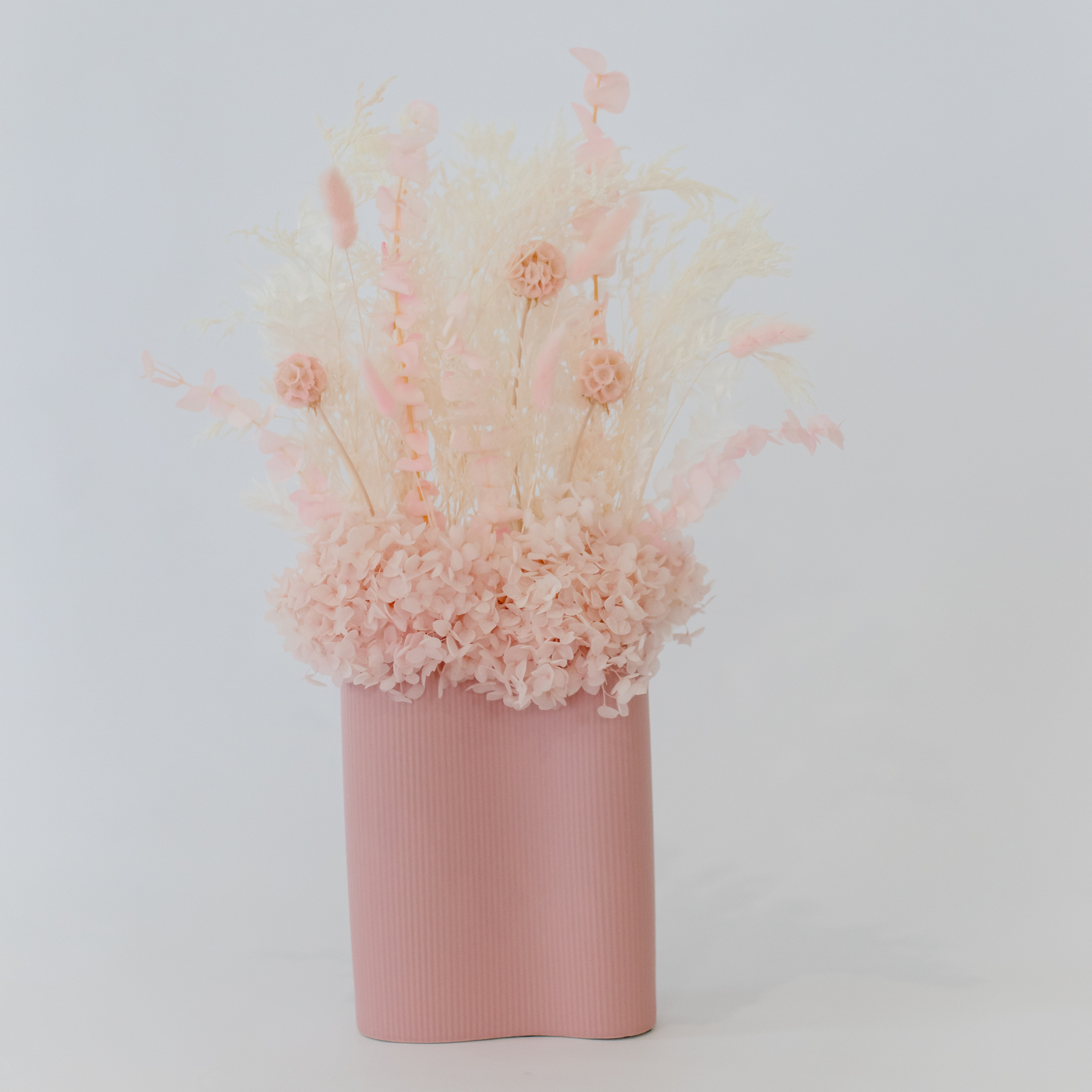 Large Dried Flower Pink Hervey Bay