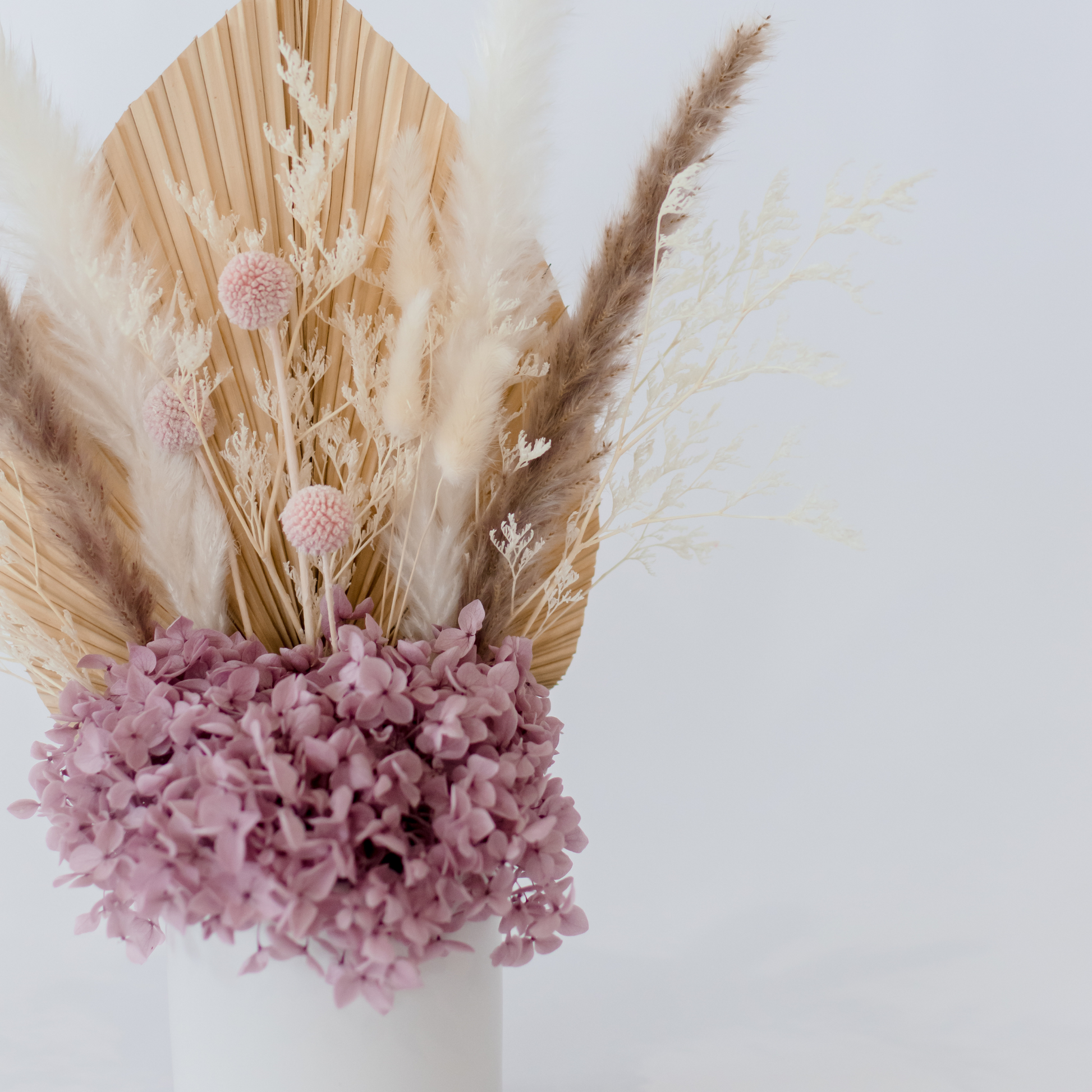 Mauve Dried Flowers Hervey Bay