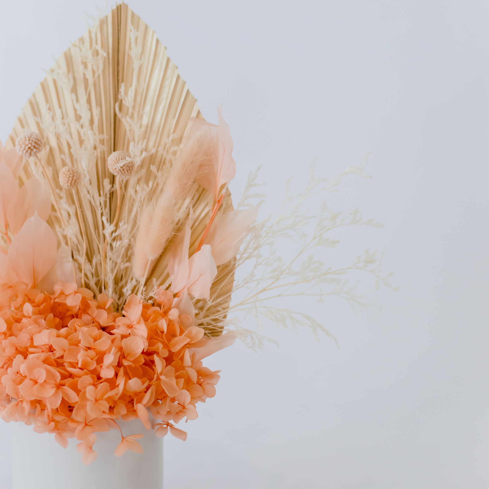 Peach Dried Flowers Hervey Bay