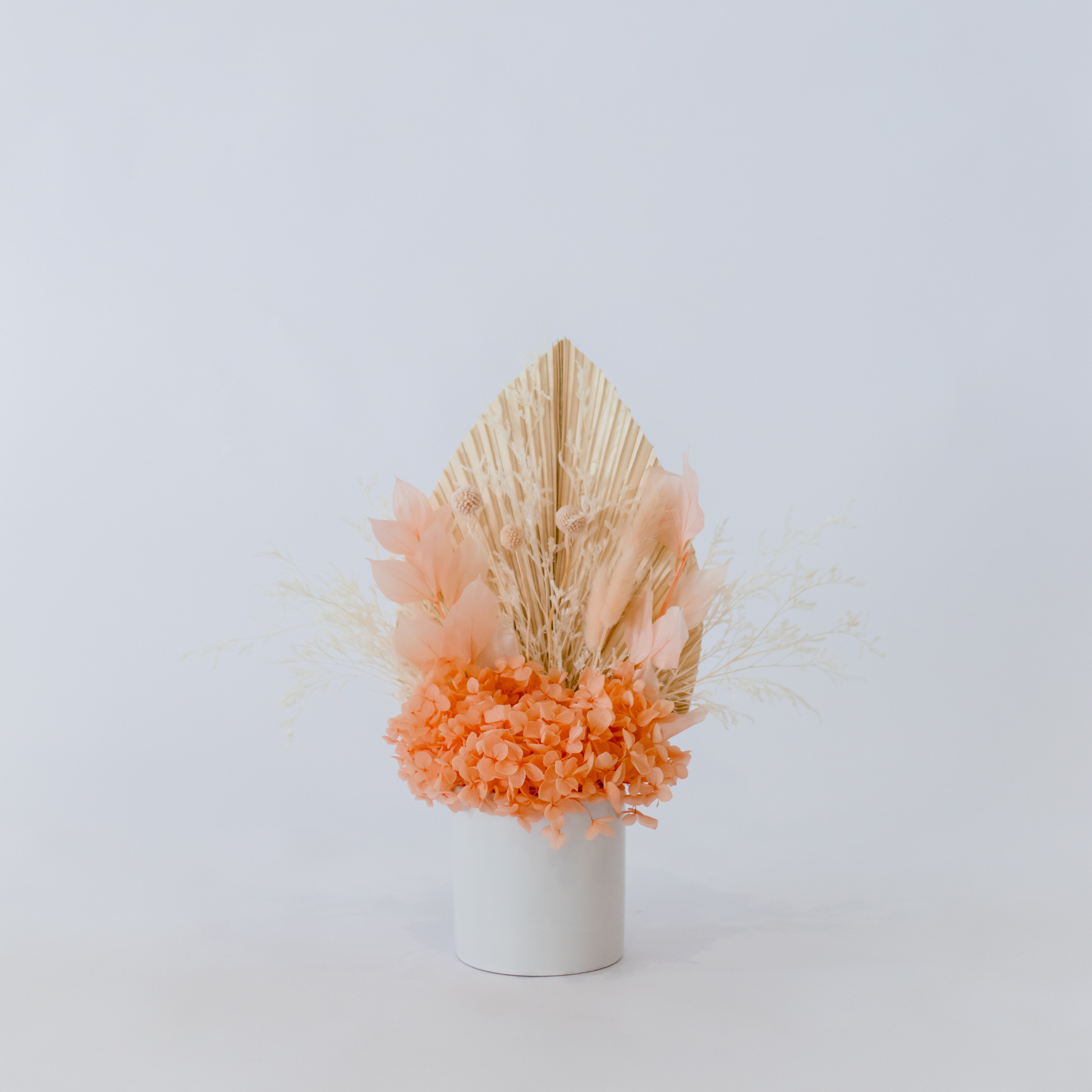 Peach Dried Flowers Hervey Bay