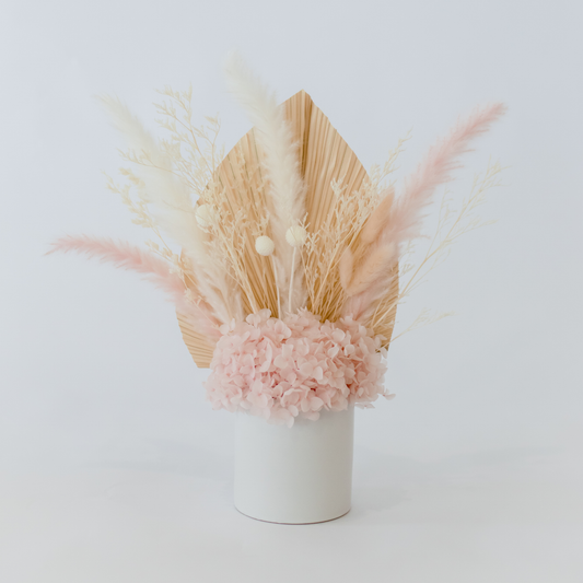 Pink_Dried_Flowers_Hervey_Bay