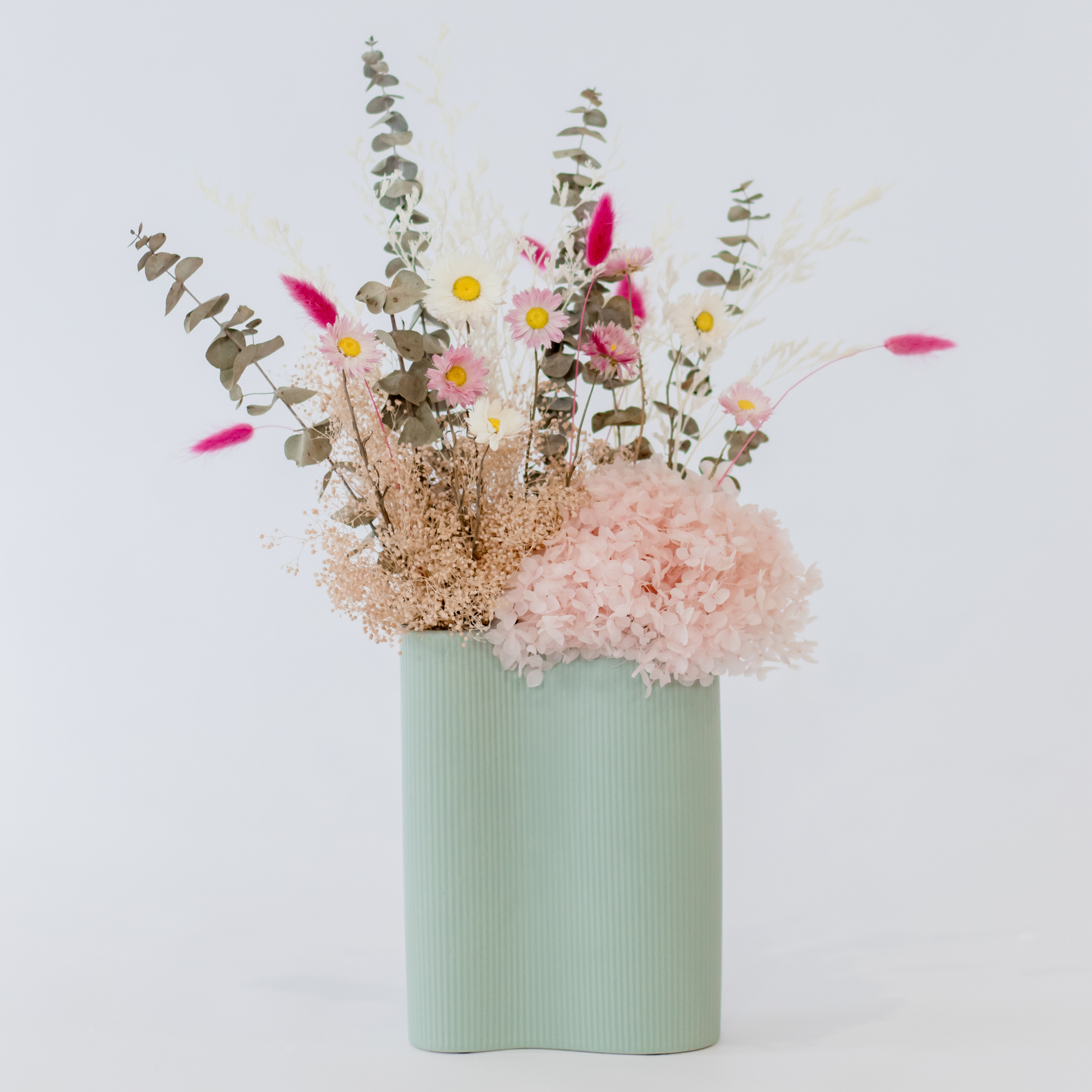 Large Dried Flower Sage Pink Hervey Bay